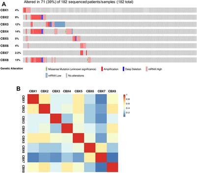 Prognostic Value and Therapeutic Potential of CBX Family Members in Ovarian Cancer